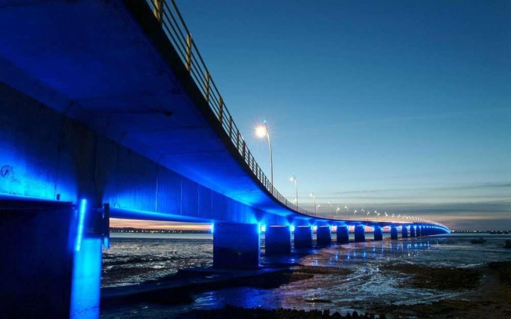 Mer A 200M,,Ds Les Mimosas En Fleur ! Ronce-les-Bains Buitenkant foto